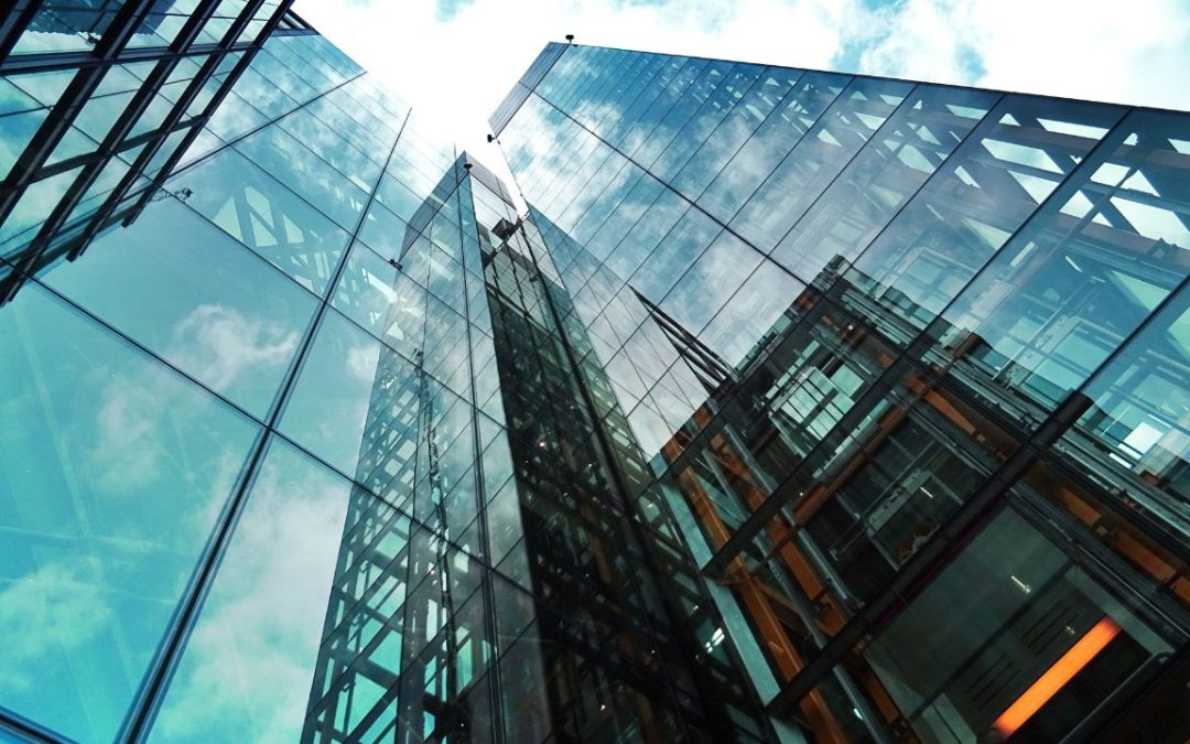 How to Choose the Right Share Class for Your Irish Company?